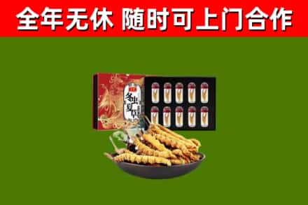 凤岗镇回收冬虫夏草价格